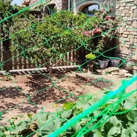 Filet de grimpement en PE pour légumes, chrysanthèmes et melons suspendus, treillis de soutien agricole pour plantes de concombre
