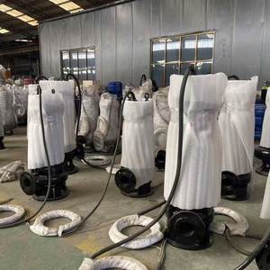 Pompe centrifuge submersible verticale 660 V pour déshydratation des boues de sable et des eaux usées - Product Image 2