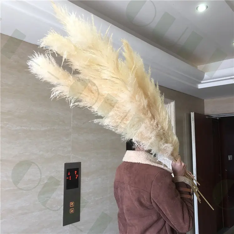 S-1175 100% Natural Plants Wholesale Bulk Dried Flowers Natural Pink Pampas Grass For Wedding Decoration