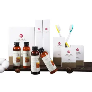 Hot Selling Hotel Guest Room Amenities soap shampoo Shower Body Care Kit Cheap Hotel Amenities