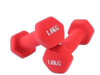 Haltères de gommage en fer et en néoprène pour femmes Équipement de fitness durable pour la maison pour un usage domestique