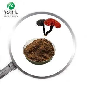 Dinh dưỡng và ngon Lingzhi Ganoderma lucidum bào tử chiết xuất Reishi Nấm bột với polysaccharides