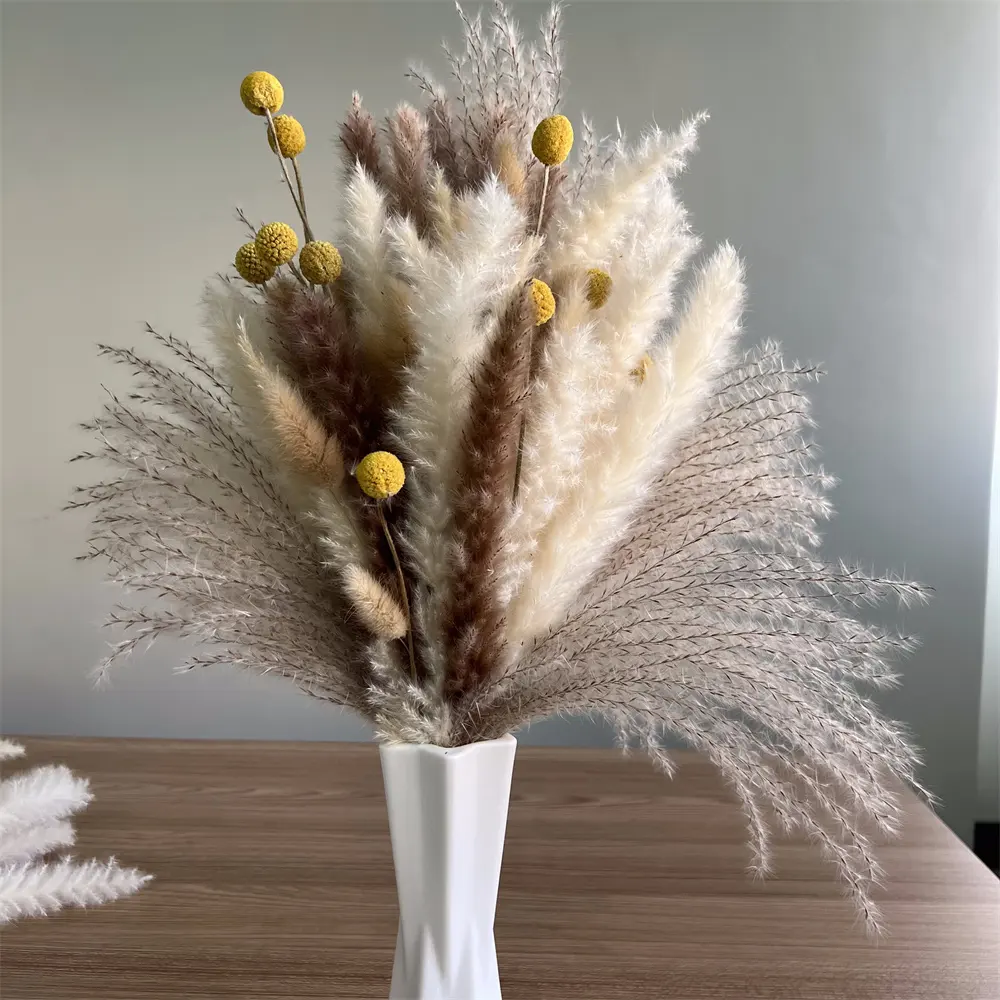 Immagini grezze fiore decorativo 2023 vendita calda pampa fiore essiccato coda di coniglio erba palla d'oro pampa erba
