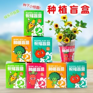 <b>Well</b>-Ordered Planting Blind <b>Box</b> Kids Educational Kit 4 Random Designs For School Gifts And Learning - Product Image 1
