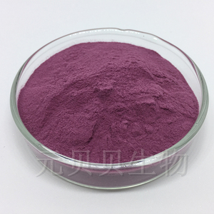 OEM ODM produttore fornitura di gelso in polvere puro naturale 30:1 estratto di frutta di gelso succo in polvere - Product Image 6