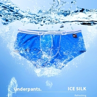 Sous-vêtements pour hommes en gros, été, taille basse, fins, respirants, en soie glacée, slips sexy pour hommes, bikini masculin