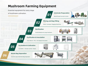 Máquina Trituradora de Mazorcas de Maíz de Alta Resistencia para Sustrato de Champiñones Shiitake y Residuos Agrícolas - Product Image 6