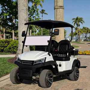 Carrito de golf eléctrico mini de 48 V al por mayor, 2 plazas, vehículo eléctrico automático, marca de carrito eléctrico personalizable para caminos no públicos - Product Image 1