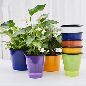 Maceta de Resina con Borde de Encaje, Diseño Minimalista, Absorción Automática de Agua, para Escritorio, Varios Colores Disponibles - Product Image 2