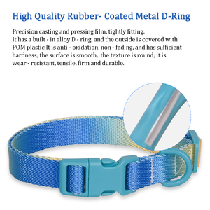 En Existencia, Accesorios de Moda para Mascotas, <span class=keywords><strong>Collar</strong></span> para Perro y Gato con Correa, Color Degradado Arcoíris de Lujo, Tallas S-L - Product Image 5