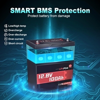 2-pack Baterai Mini LiFePO4 Lithium 12V 100Ah dengan BMS 100A 1280Wh Baterai Lithium Iron Phosphate Kelompok BCI 24 6000+ Siklus