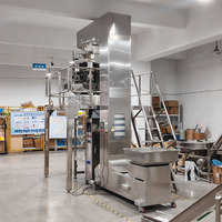 Machine de remplissage et d'emballage automatique 10-2000g pour granulés, noix, sucre, snacks en sachets plastiques avec PLC