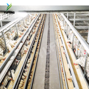 Nouvelle <span class=keywords><strong>cage</strong></span> à poules pondeuses entièrement automatisée à 4 niveaux pour 1000 poulets, capacité de 200 poules pondeuses - Product Image 5