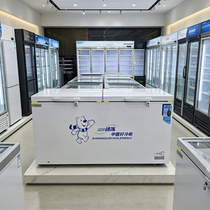 Congélateur coffre de supermarché à double porte, congélateur horizontal <span class=keywords><strong>grande</strong></span> capacité, réfrigérateur commercial pour fruits de mer congelés - Product Image 3