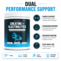Poudre de supplément d'hydratation au citron et au citron vert pour adultes, 300g – Mélange d'électrolytes et de créatine monohydrate pour le soutien de l'entraînement – Usine ODM/OEM