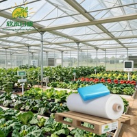 Film de serre en plastique résistant, film PO, film PE pour une isolation améliorée, production hivernale de légumes