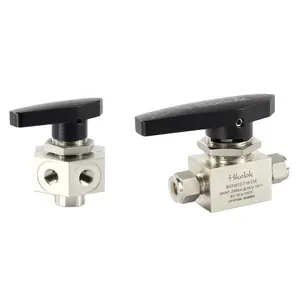 Hikelok 3000psi 3-Way 4-Way 5-way1/8 "1/4" 3/4 "Ball Valve