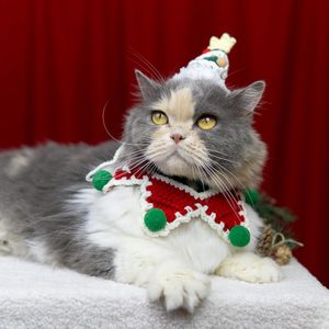 Gorro de Navidad para Perro, Disfraz Tejido de Una Sola Talla Ajustable, Ropa para Mascotas con Diseño Animal, Atuendo Festivo - Product Image 6