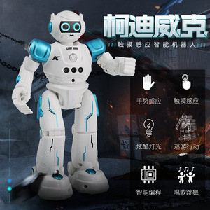 Nouveauté <span class=keywords><strong>ROLIN</strong></span> R11 Robot intelligent à commande à distance, fonctionnant sur piles, ABS, éducatif, détection gestuelle, jouet DIY pour enfants - Product Image 2