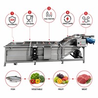 Máquina de Lavado de Pescado y Mariscos de Doble Propósito, Integrada para Desangre y Limpieza, de Acero Inoxidable 304 de Grado Alimenticio, con Certificación HACCP