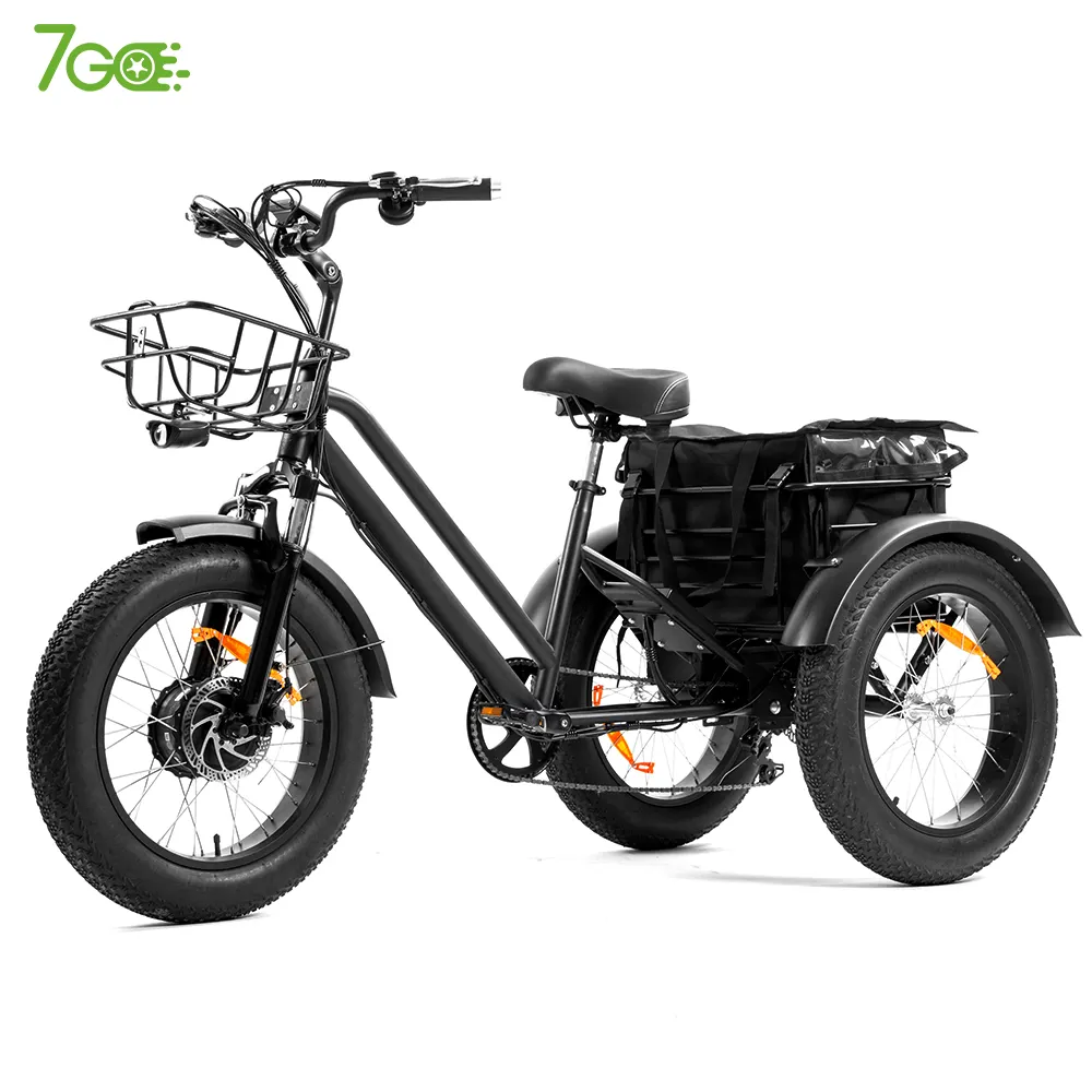 دراجة ثلاثية العجلات كهربائية للبالغين بمحرك 750 وات و20 بوصة وإطار عريض دراجة كهربائية بثلاث عجلات للبالغين دراجة كهربائية بثلاث عجلات للنقل