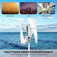 Éolienne à axe vertical de couleur personnalisée 500W avec un design écologique et une installation facile pour un usage domestique Certifiée RoHS