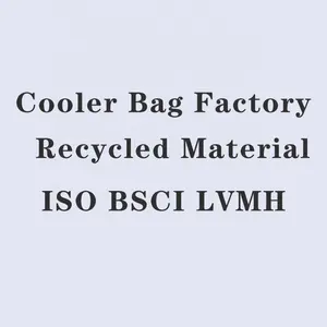 ISO BSCI LVMH Fabrik recycelt benutzer definierte große Strand thermisch tragbare Leder wasserdichte Mittagessen Eis weichen Wein isoliert Kühltaschen