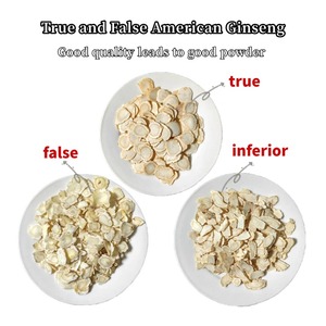 Premium amerikan Ginseng kökü özü Saponins vitamini zengin doğal bağışıklık güçlendirici Anti-Aging antioksidan kan şekeri/BP - Product Image 3