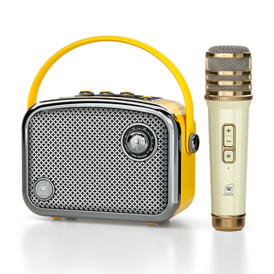 Enceinte karaoké portable Winbridge L10 30W avec microphone sans fil USB AUX - Product Image 1