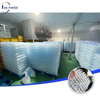 Máquina Automática para Hacer Hielo en Cubos de 3 Toneladas para Fábrica de Hielo Comestible con Solución Integral de Producción de Hielo
