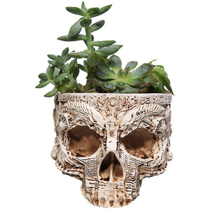 Soporte para <span class=keywords><strong>maceta</strong></span> de cráneo Suger, recipiente de resina para flores suculentas, esqueleto, tazón de caramelo, escultura de estatua para plato de Halloween - Product Image 1