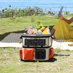 12/24V DC 110/240V AC <span class=keywords><strong>borsa</strong></span> <span class=keywords><strong>frigo</strong></span> alimentato da batteria portatile frigorifero zaino per il campeggio - Product Image 6