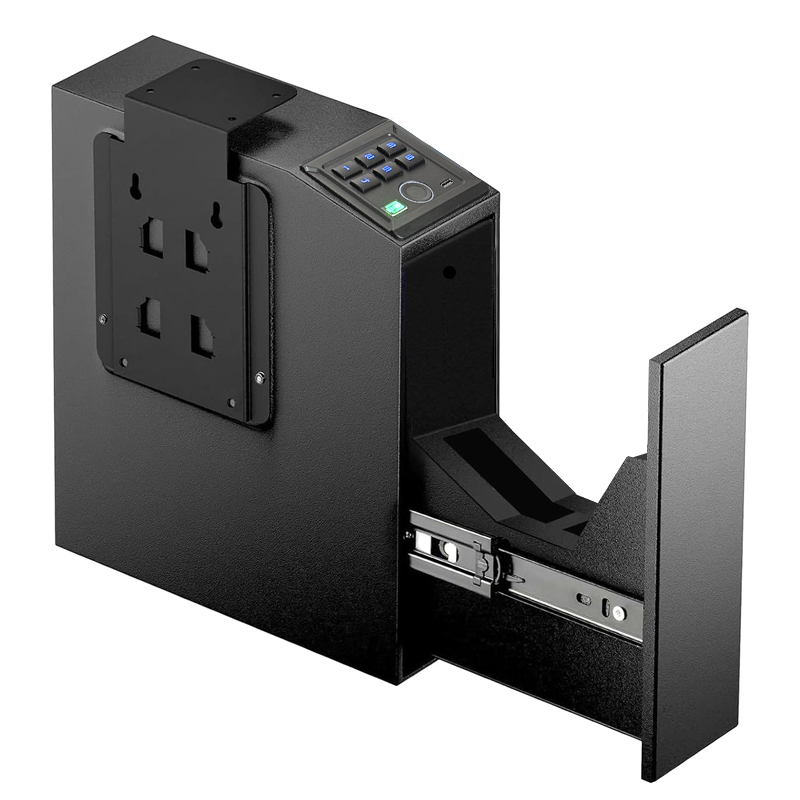 Asegure Sus Objetos de Valor con Soluciones caja de seguridad para