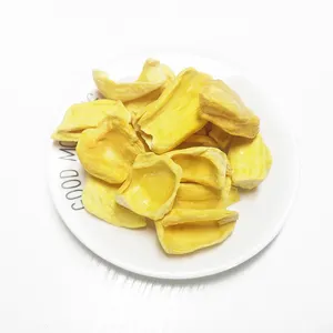 TTN冻干优质天然菠萝蜜原形彩色零食批发菠萝蜜