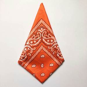 Bandana foulard : l'accessoire ultime pour l'ambiance estivale, idéal pour les fêtes à la plage, les sports de plein air et la vie en ville - Product Image 2