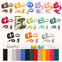 Ensemble Harnais et Collier pour Chien en PVC Personnalisé avec Logo, Nouveau Design 2026, Luxe, Vente en Gros, Anti-Traction
