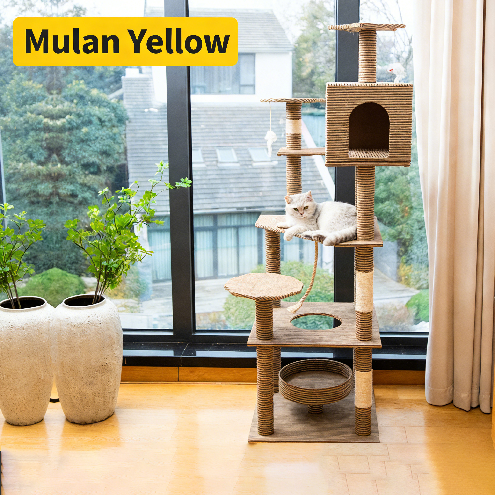 Mulberry color