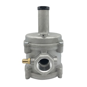 Nouveau régulateur de pression du filtre à gaz naturel en fonte d'aluminium pour chaudière - Product Image 1