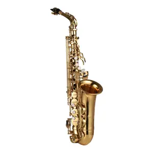 Saxofón Alto Eb, instrumento de viento de saxofón Alto lacado de latón con estuche de transporte, guantes, correas, paño de limpieza y cepillo, Saxofón Mute R