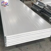 Paneles Sándwich PS de Acero, Tamaño Personalizado, Aislamiento Térmico, Panel Sándwich de Espuma EPS Ignífugo para Paredes, Techos, Almacenes y Talleres