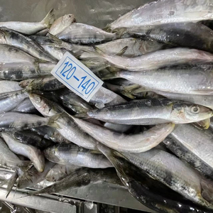 Sardine Intere Congelate Rotonde del Produttore, Congelamento Rapido, Miglior Prezzo, Sardine Leggermente Congelate per il Mercato, Sardine BQF 120-140 Pezzi - Product Image 1
