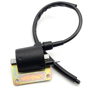 Bobina di Accensione per Moto per <span class=keywords><strong>Piaggio</strong></span> Hexagon LX Liberty Sfera RST Skipper <span class=keywords><strong>Typhoon</strong></span> <span class=keywords><strong>125</strong></span> 150 per Vespa ET4 <span class=keywords><strong>125</strong></span> 4T - Product Image 1