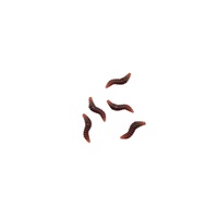 Acclamé Trick quantité minimale de commande 600 Cute Tricks EN71 BSCI Nouveauté Blagues Gag Plastique Assortiment Insectes Jouet Coffret Cadeau