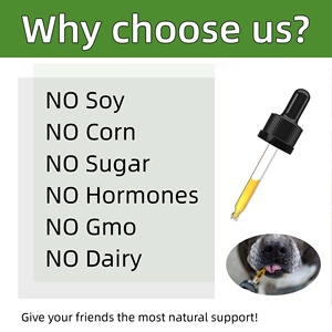 OEM/ODM kustom suplemen hewan peliharaan nutrisi alergi Drop kekebalan tubuh untuk anjing dan kucing dengan l-lisin Astragalus akar suplemen kesehatan - Product Image 3