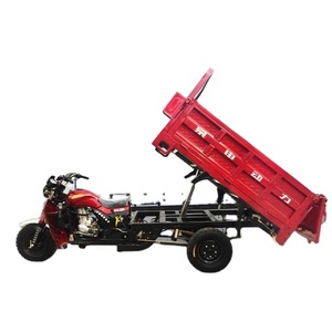 <span class=keywords><strong>Triciclo</strong></span> de Carga Loge Personalizado, Económico, de 3 Ruedas, con Volquete, Motor de 350cc Refrigerado por Aire, para Adultos - Product Image 4