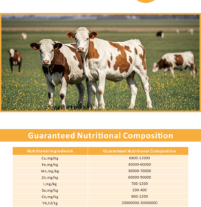 GlyPro X712 Premezcla de Vitaminas y Minerales para Leche en Polvo y Etapa de <span class=keywords><strong>Lactancia</strong></span> Temprana, Aditivos para Alimento de Vacas, Premezcla para Vacas al Mejor Precio - Product Image 4