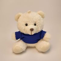 Porte-clés ours en peluche personnalisé de 10 cm avec logo sur t-shirt, breloque de sac en peluche, cadeau promotionnel pour sacs à dos et faveurs de fête, faible MOQ