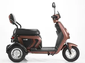 Electric Tricycle Best-selling Cheapest Safest Scooter Fashion High Quality Three-wheeled Scooter 600-1000w 6-8H