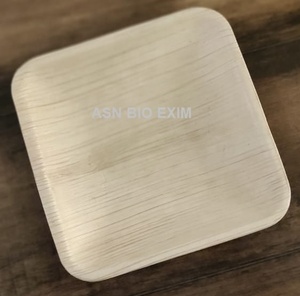 Vajilla de hoja de palma de areca orgánica natural plato y cuenco ecológico biodegradable con patrón de planta estilo Stealth - Product Image 2