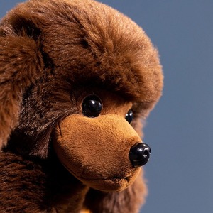 Commercio all'ingrosso eco-friendly Super Soft peluche PP in cotone pieno di <span class=keywords><strong>barboncino</strong></span> gigante <span class=keywords><strong>barboncino</strong></span> cane peluche giocattoli 20/32cm - Product Image 5